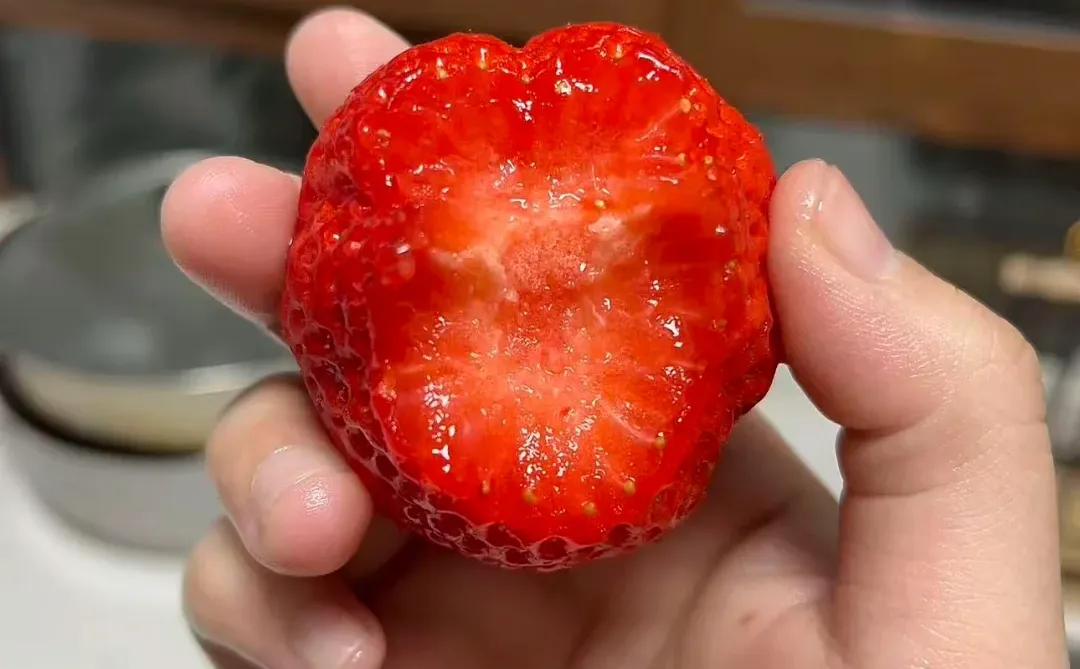 丹东草莓🍓100元2斤！闭眼入！宠粉价格！