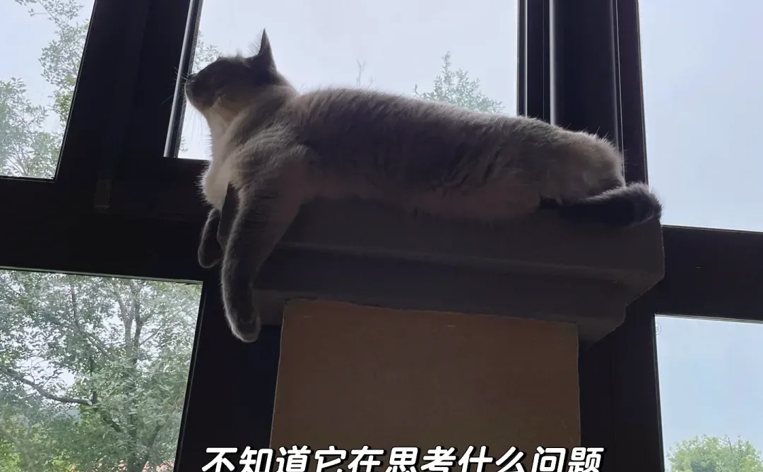 买翡翠为啥报价奇奇怪怪的？🤣🤔🫤