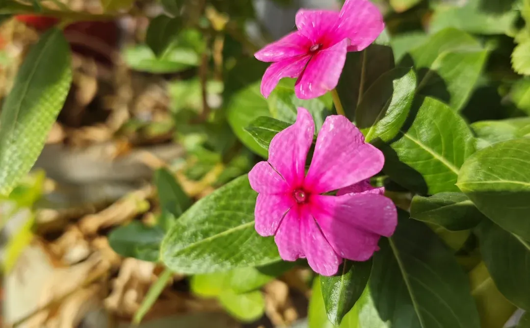 基金投资新手第一课：学会当个“笨”人