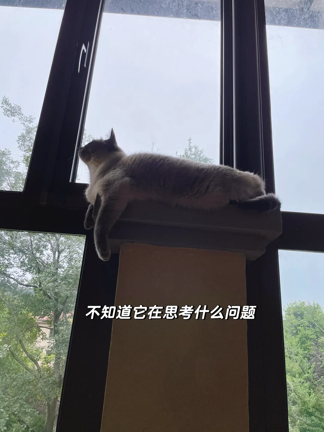 买翡翠为啥报价奇奇怪怪的？🤣🤔🫤