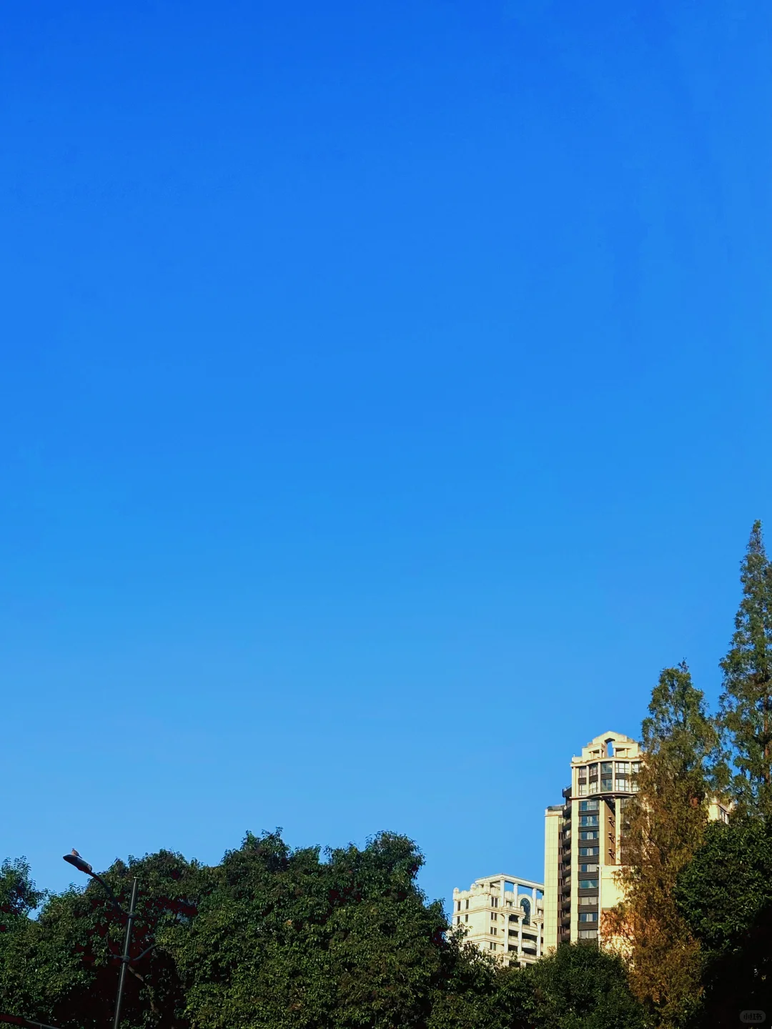 想以后彻底不上班，先找离自由职业近的工作