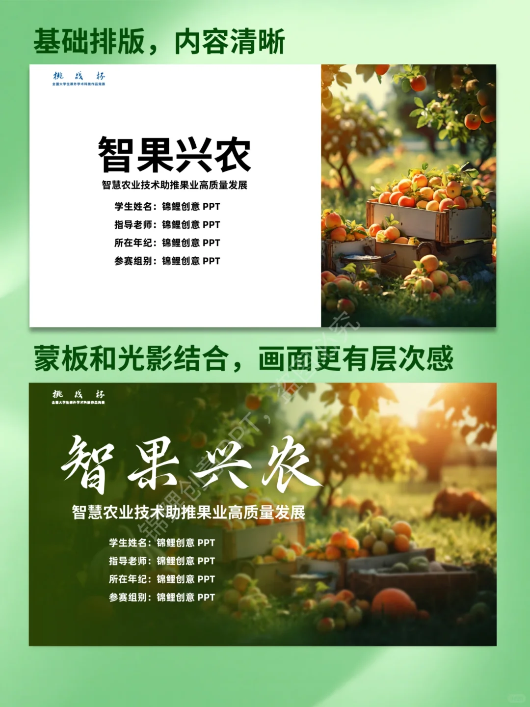 家人们，ppt这样定价可以吗？