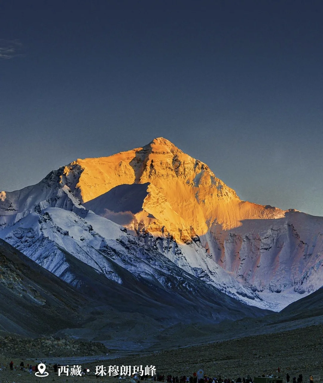 观浪而非驭浪✅