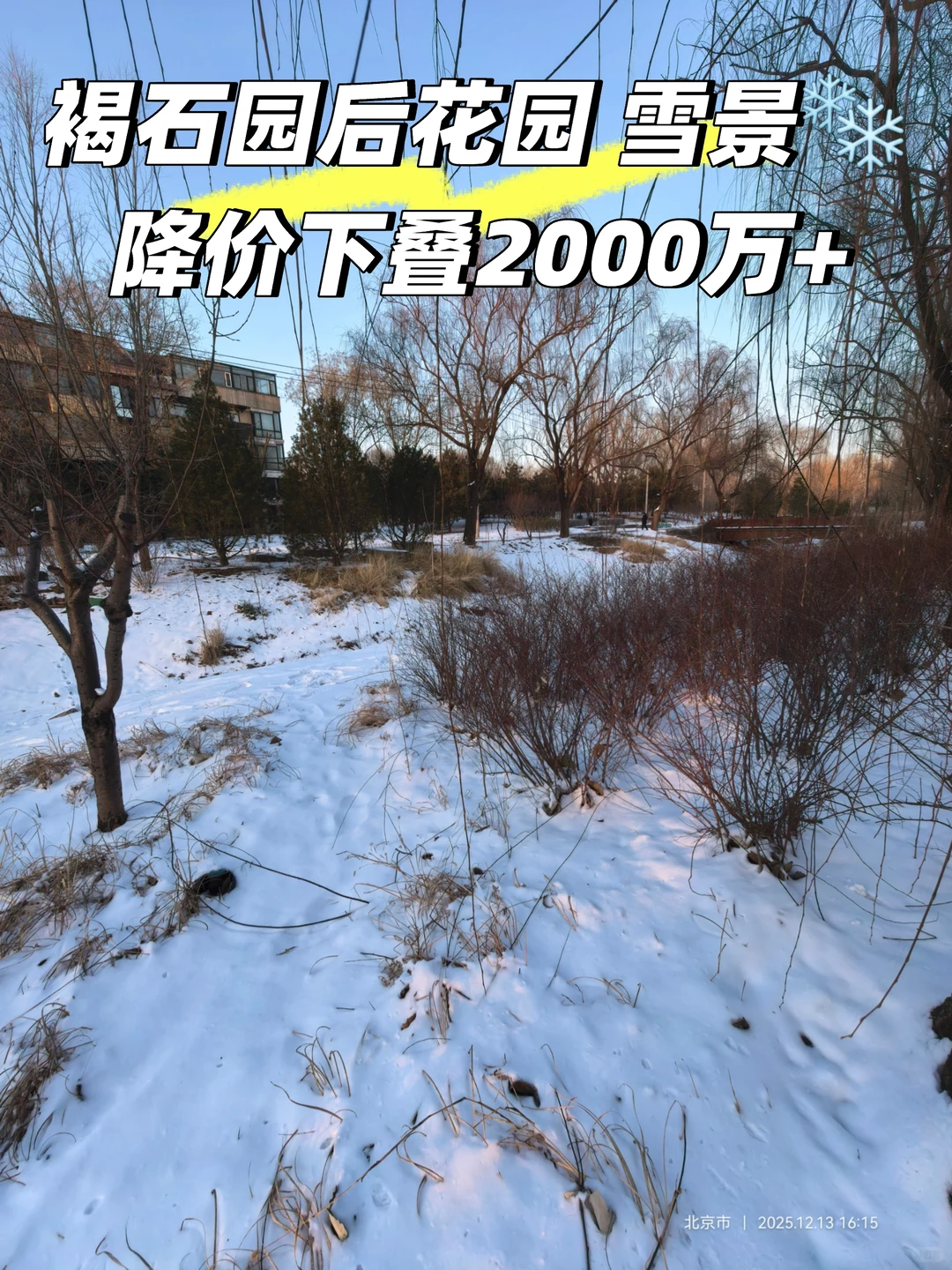 记录雪景🌨 褐石园 花园 下叠2000万+