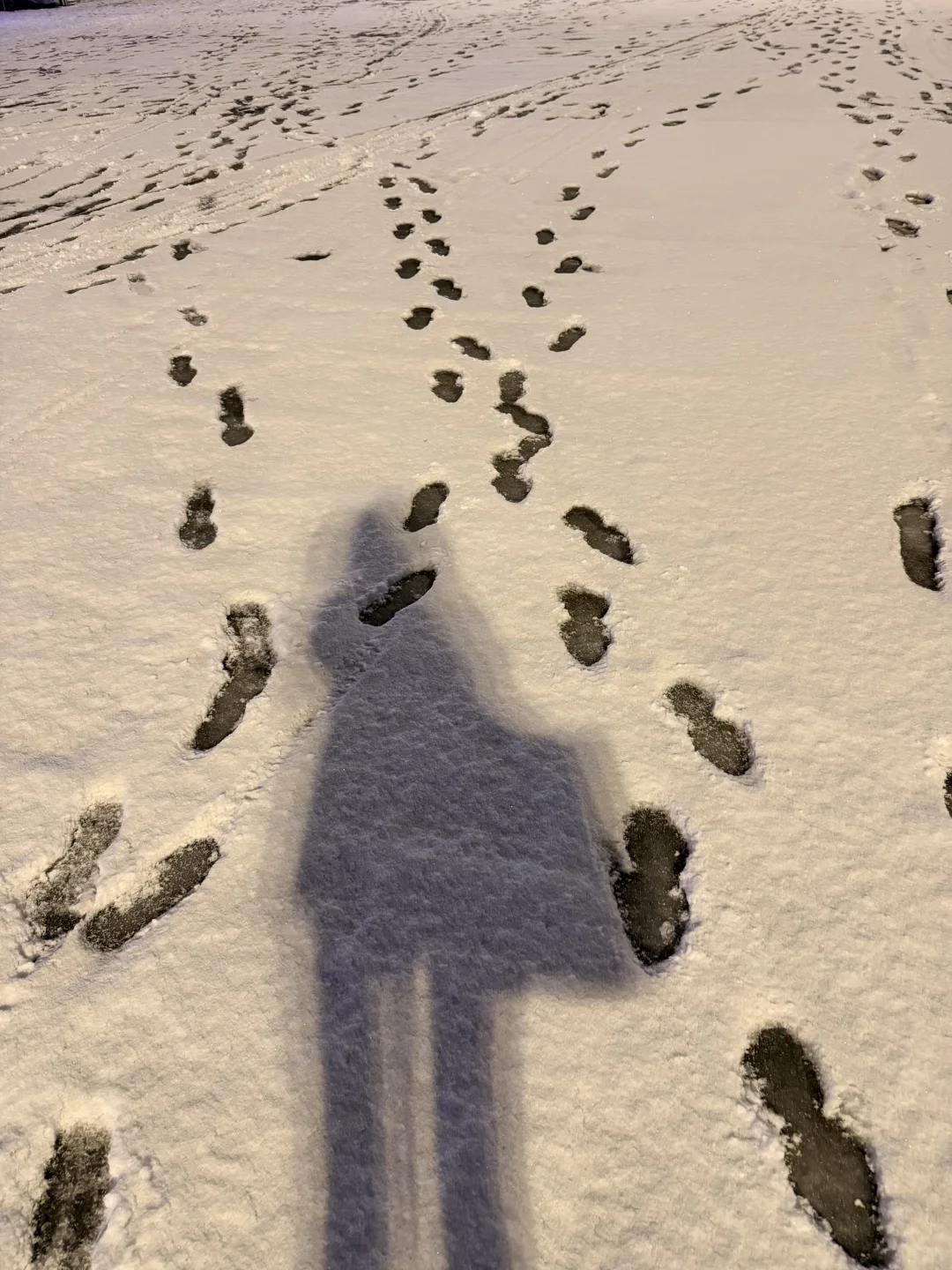 假期遇到初雪 当了两天幸福小孩