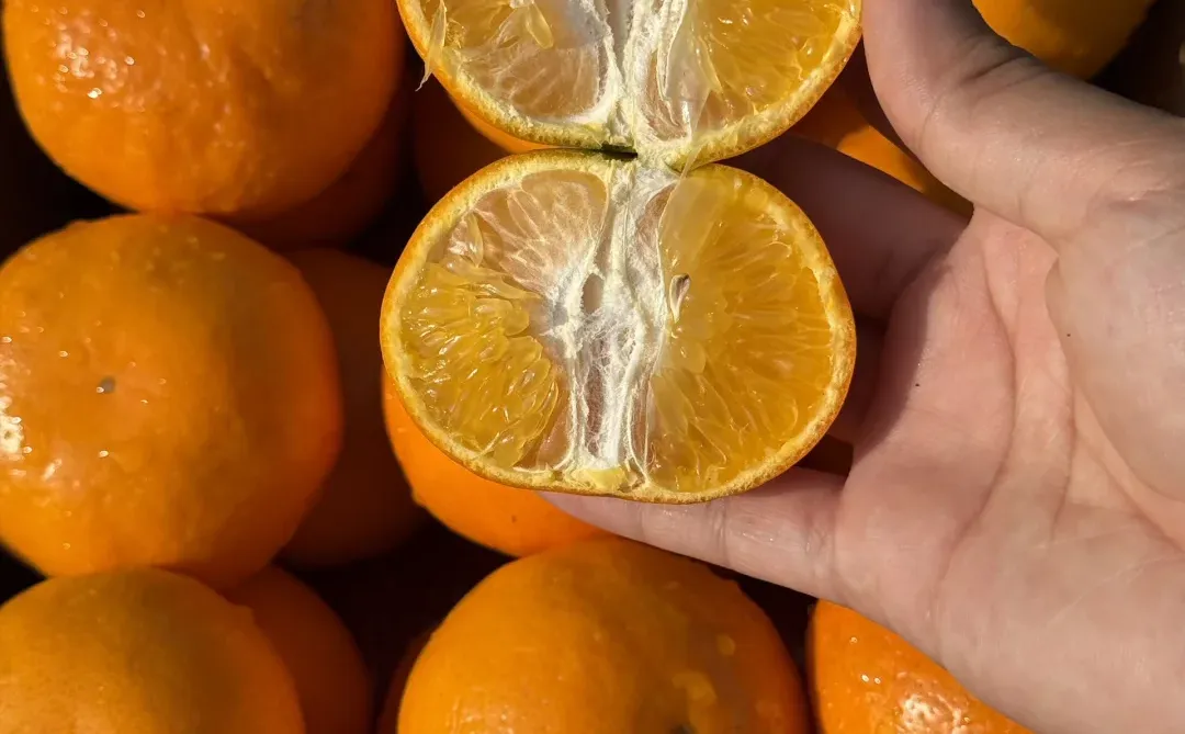 来三十个姐妹，发地址给你寄，不要邮费