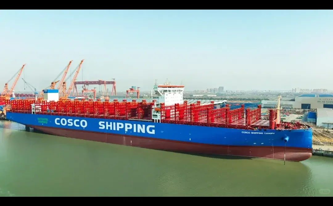 年末冲刺行情深化，市场展现强势韧性