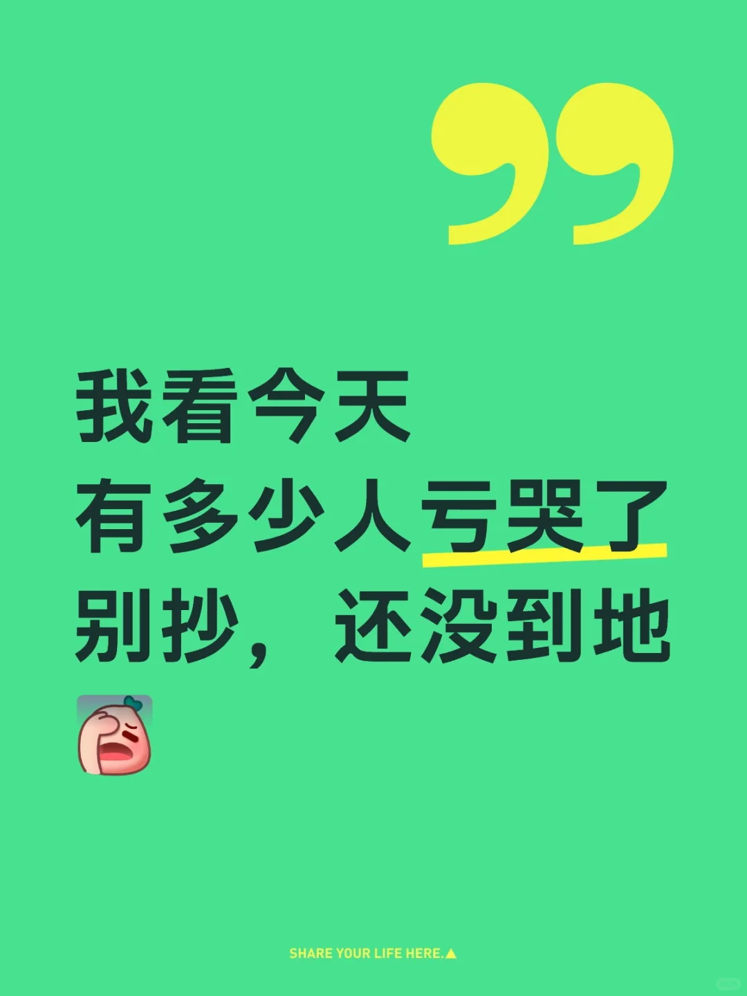 我看今天有多少人亏哭了