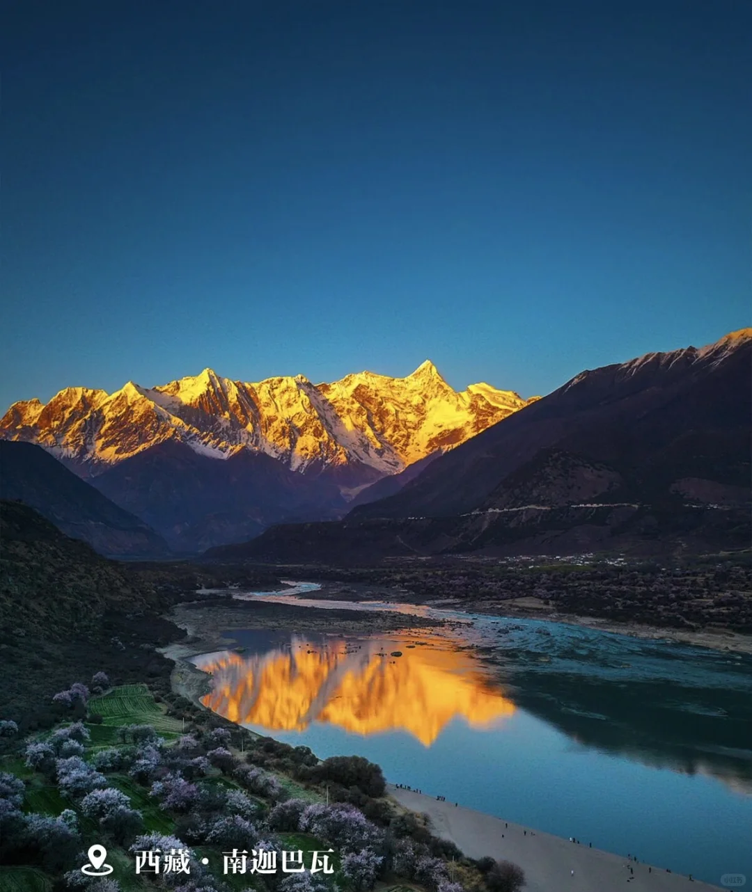 观浪而非驭浪✅