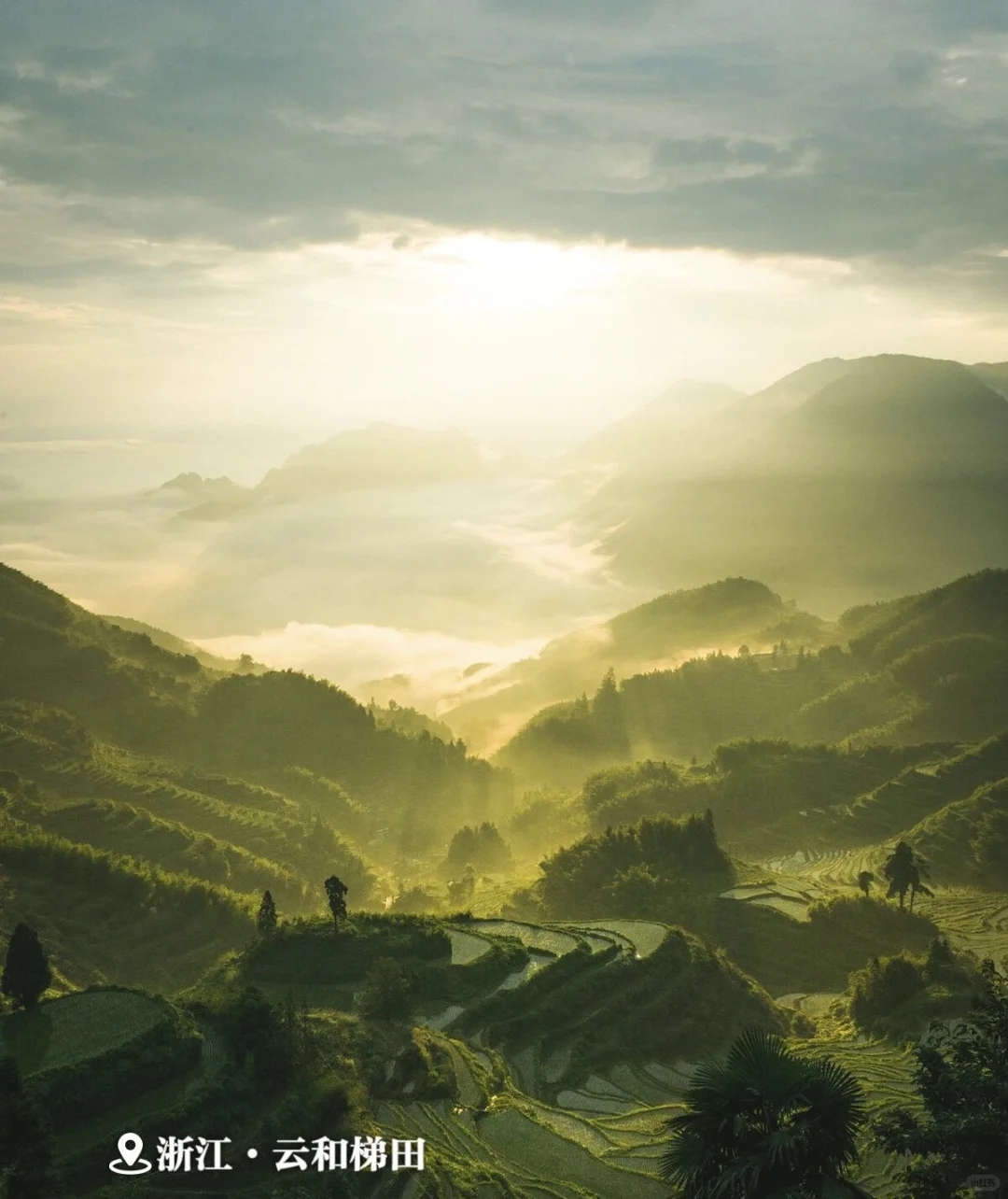 观浪而非驭浪✅
