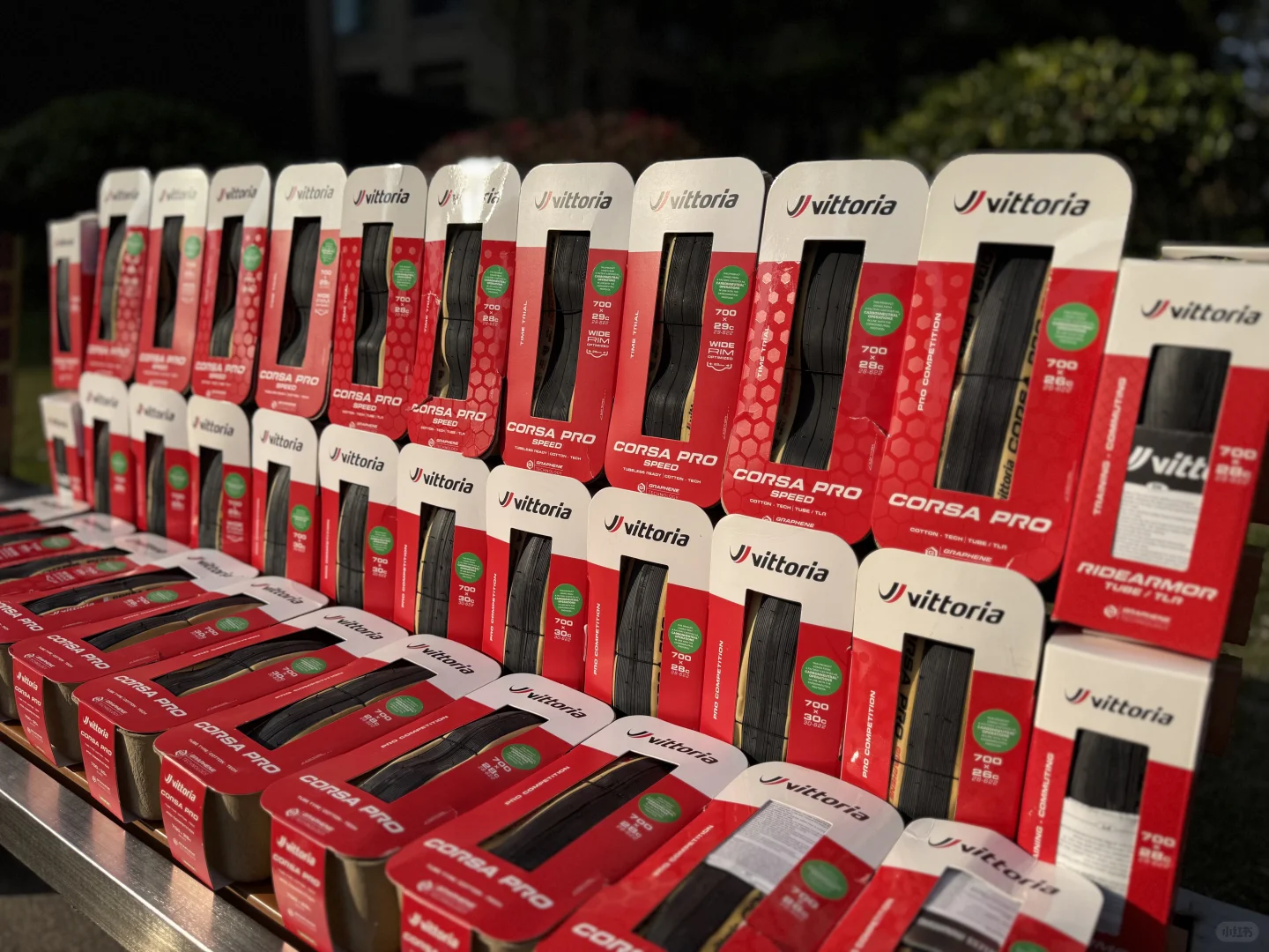 维多利亚外胎价格香