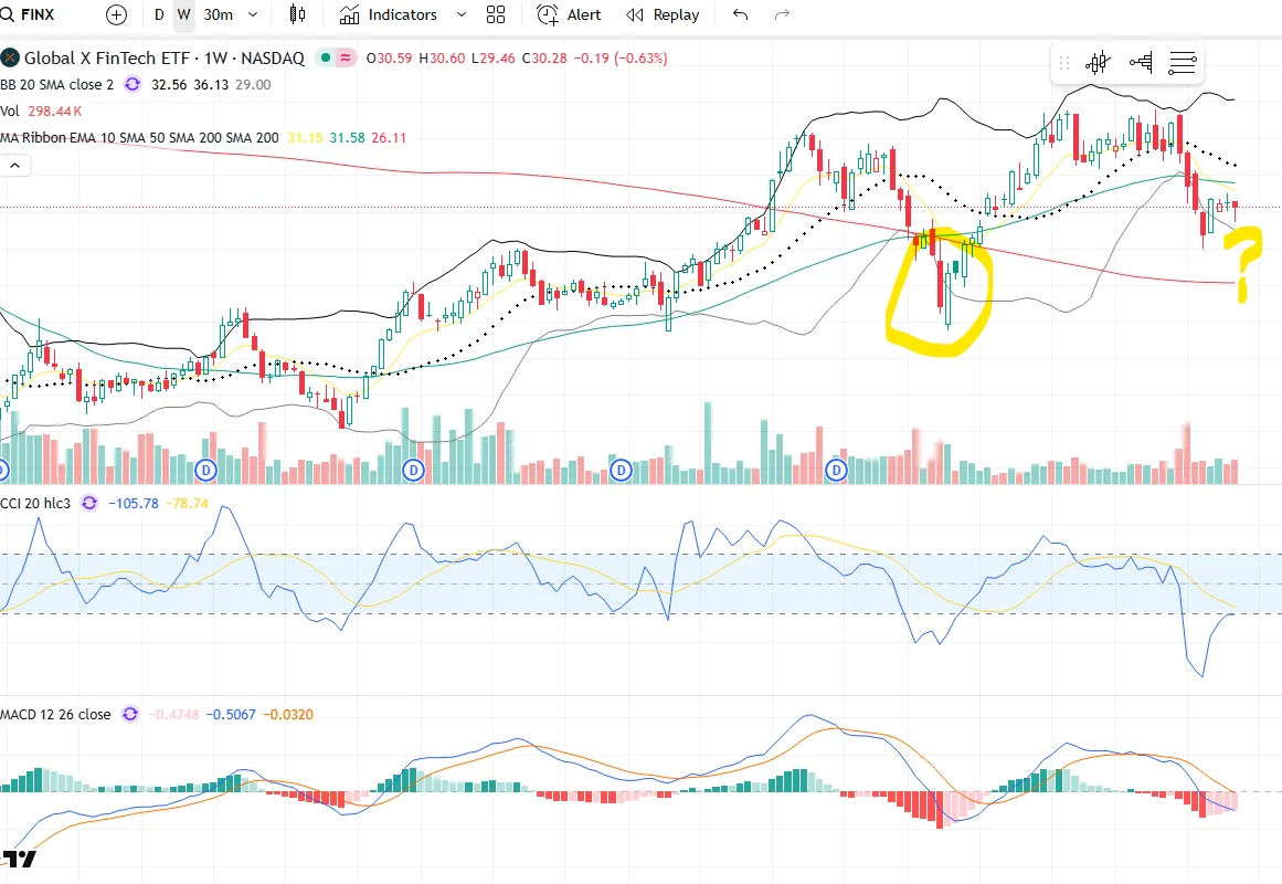 开始密切关注$FINX