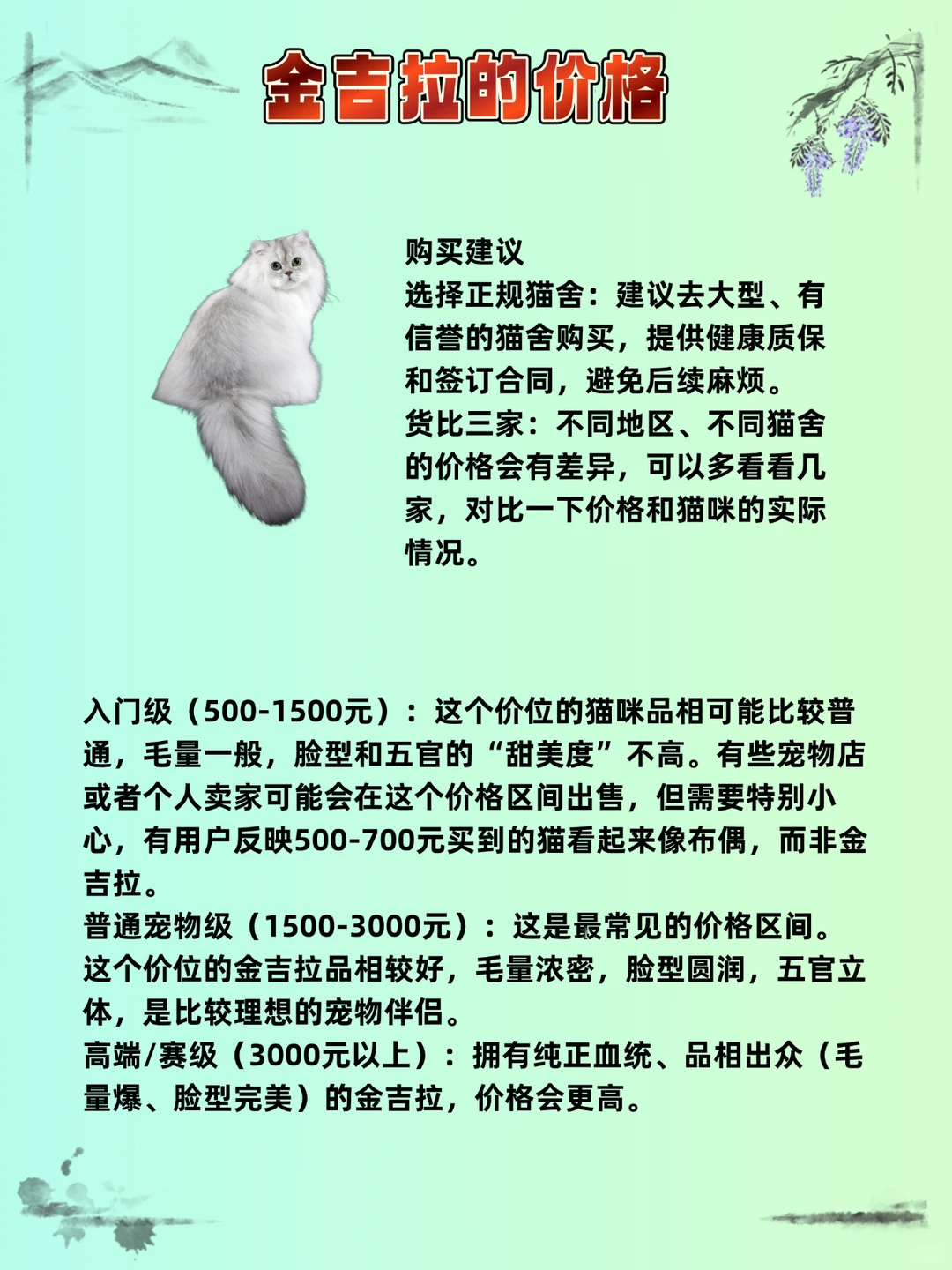 🔥猫咪品种价格指南，看你家猫买贵了没？