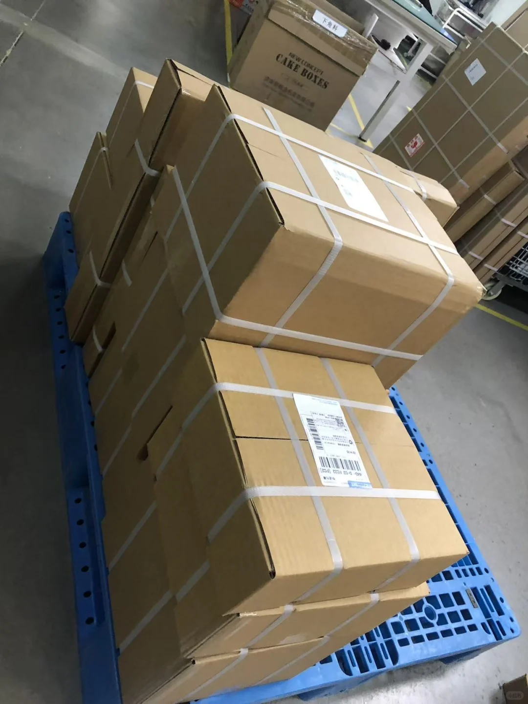 宠物行业这么玩，太强了👍