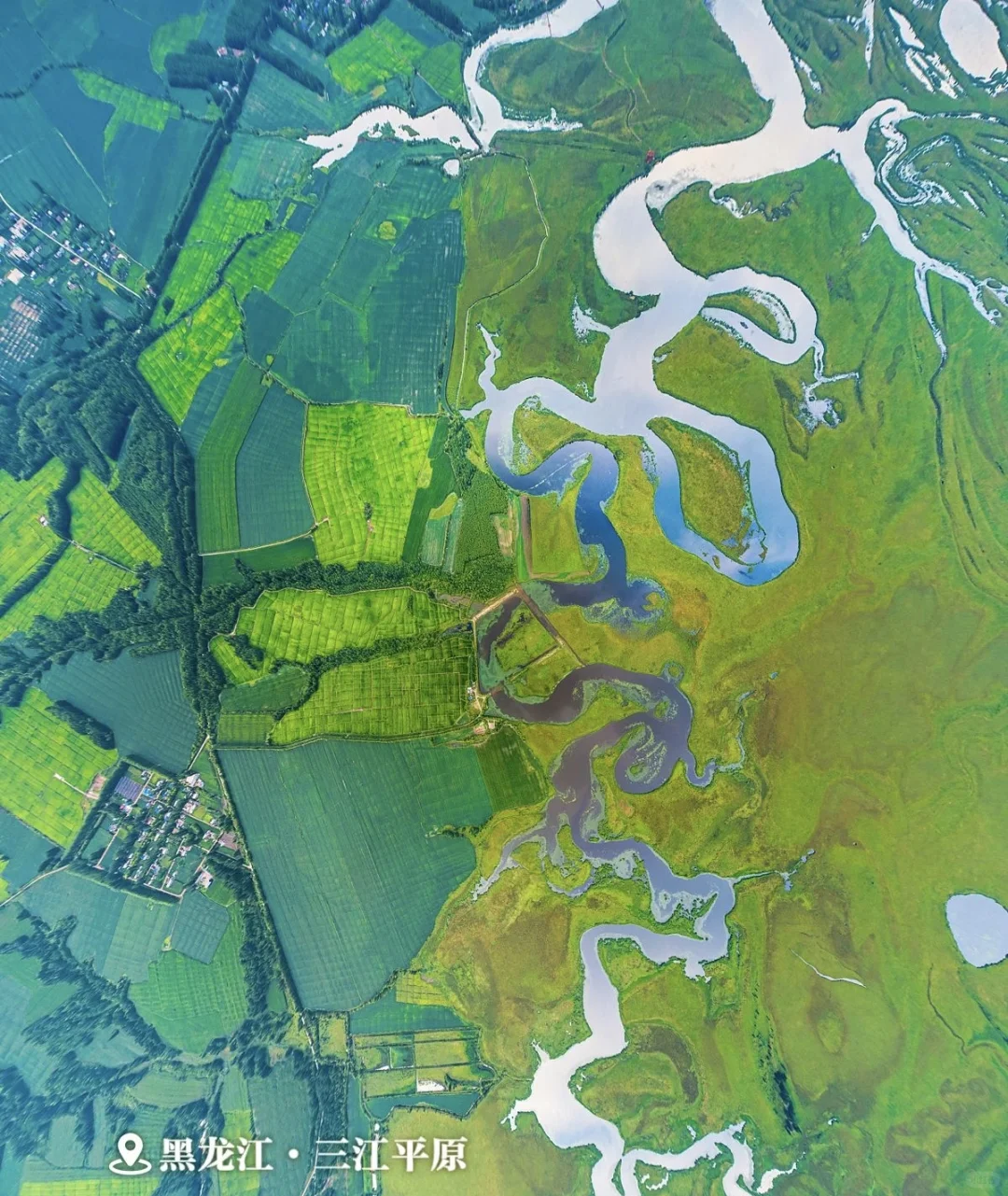 观浪而非驭浪✅