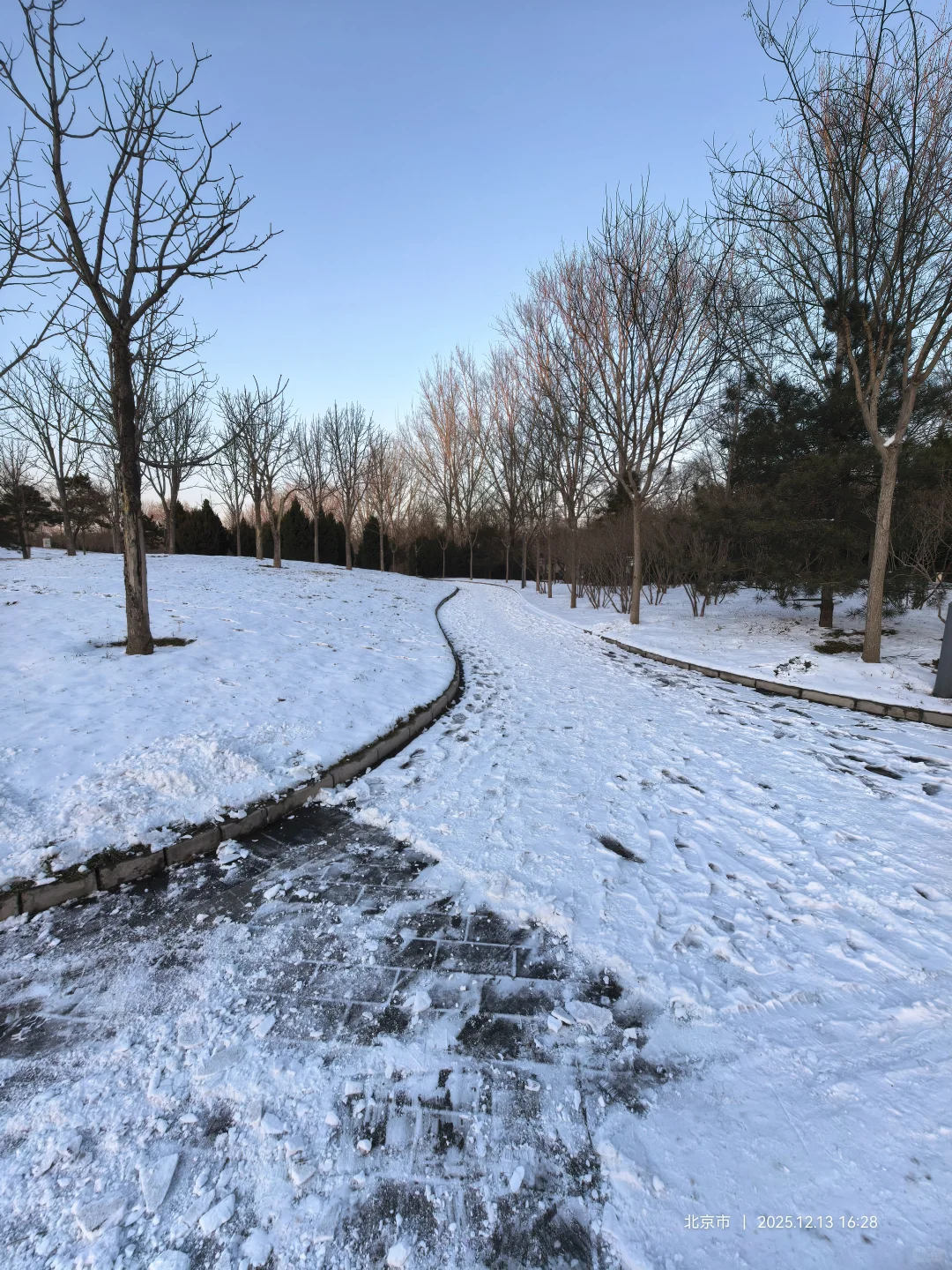 记录雪景🌨 褐石园 花园 下叠2000万+