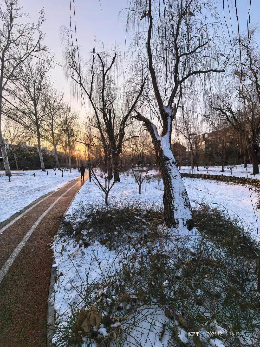记录雪景🌨 褐石园 花园 下叠2000万+