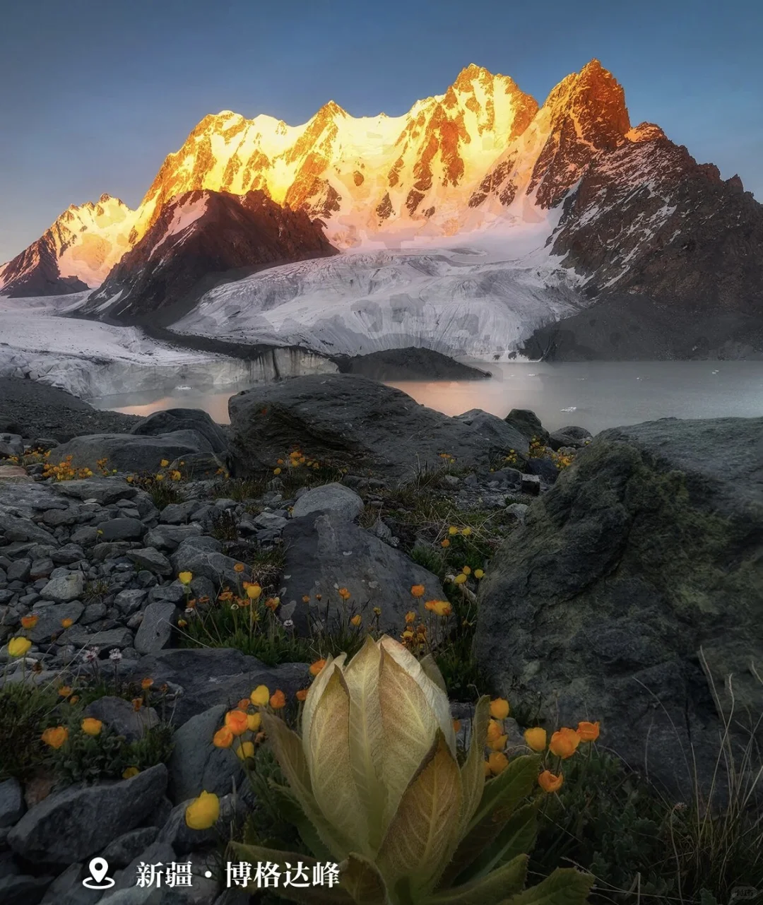 观浪而非驭浪✅