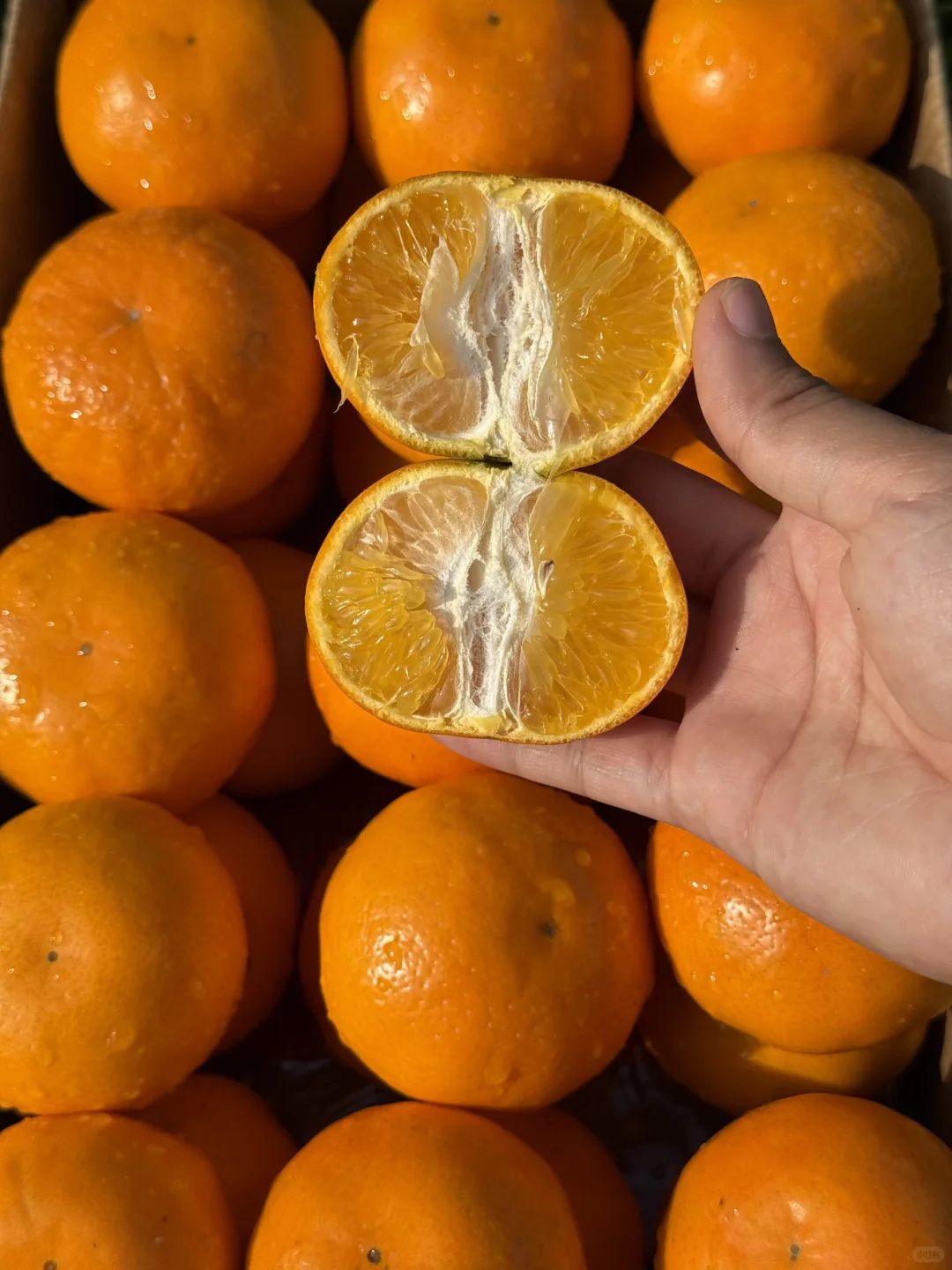 来三十个姐妹，发地址给你寄，不要邮费