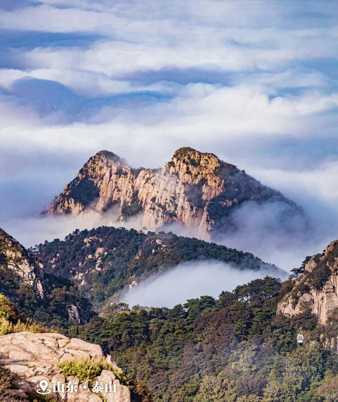 观浪而非驭浪✅