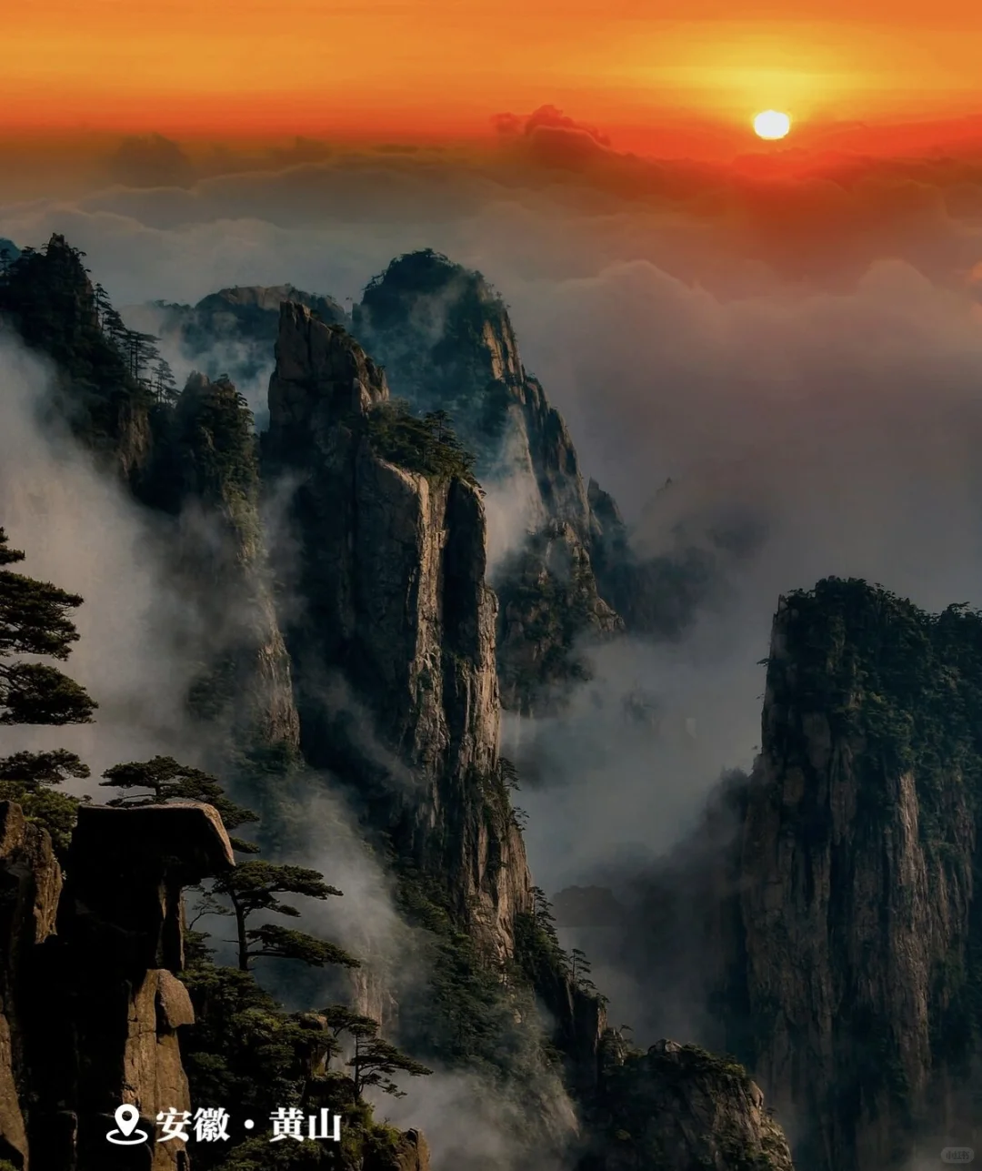 观浪而非驭浪✅