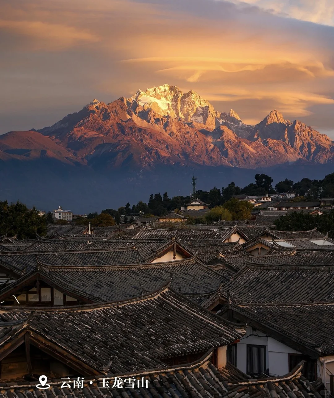 观浪而非驭浪✅