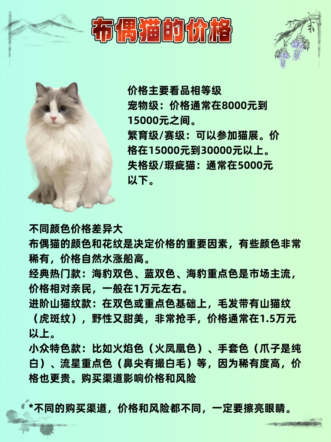 🔥猫咪品种价格指南，看你家猫买贵了没？