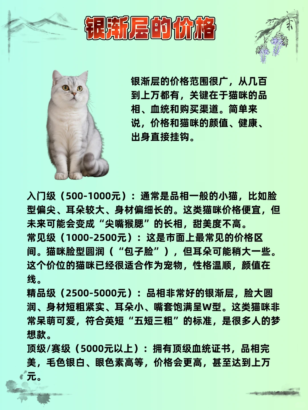 🔥猫咪品种价格指南，看你家猫买贵了没？