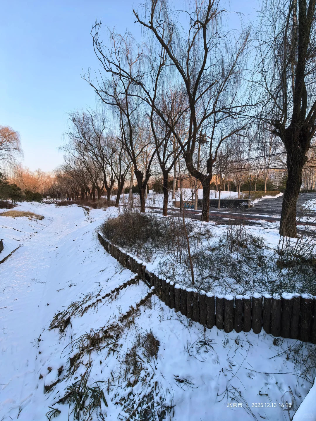 记录雪景🌨 褐石园 花园 下叠2000万+