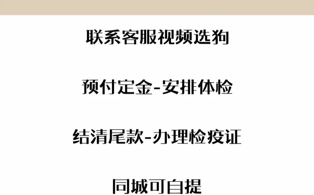 2025年西高地多少钱一只|西高地价格攻略❗