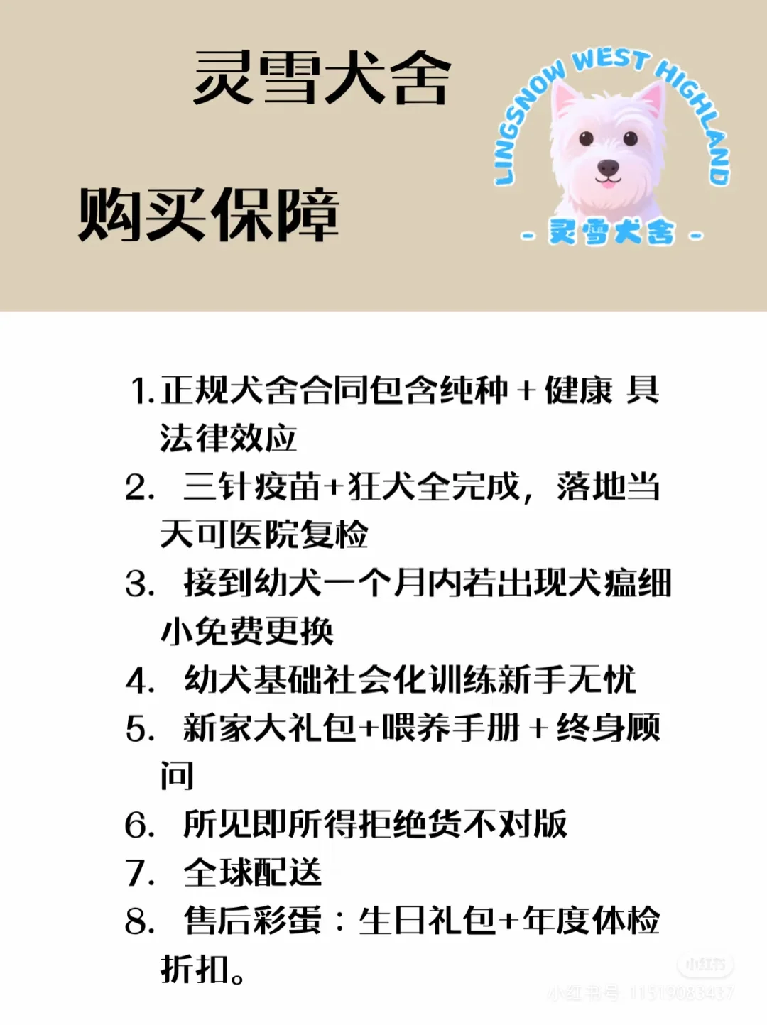 2025年西高地多少钱一只|西高地价格攻略❗