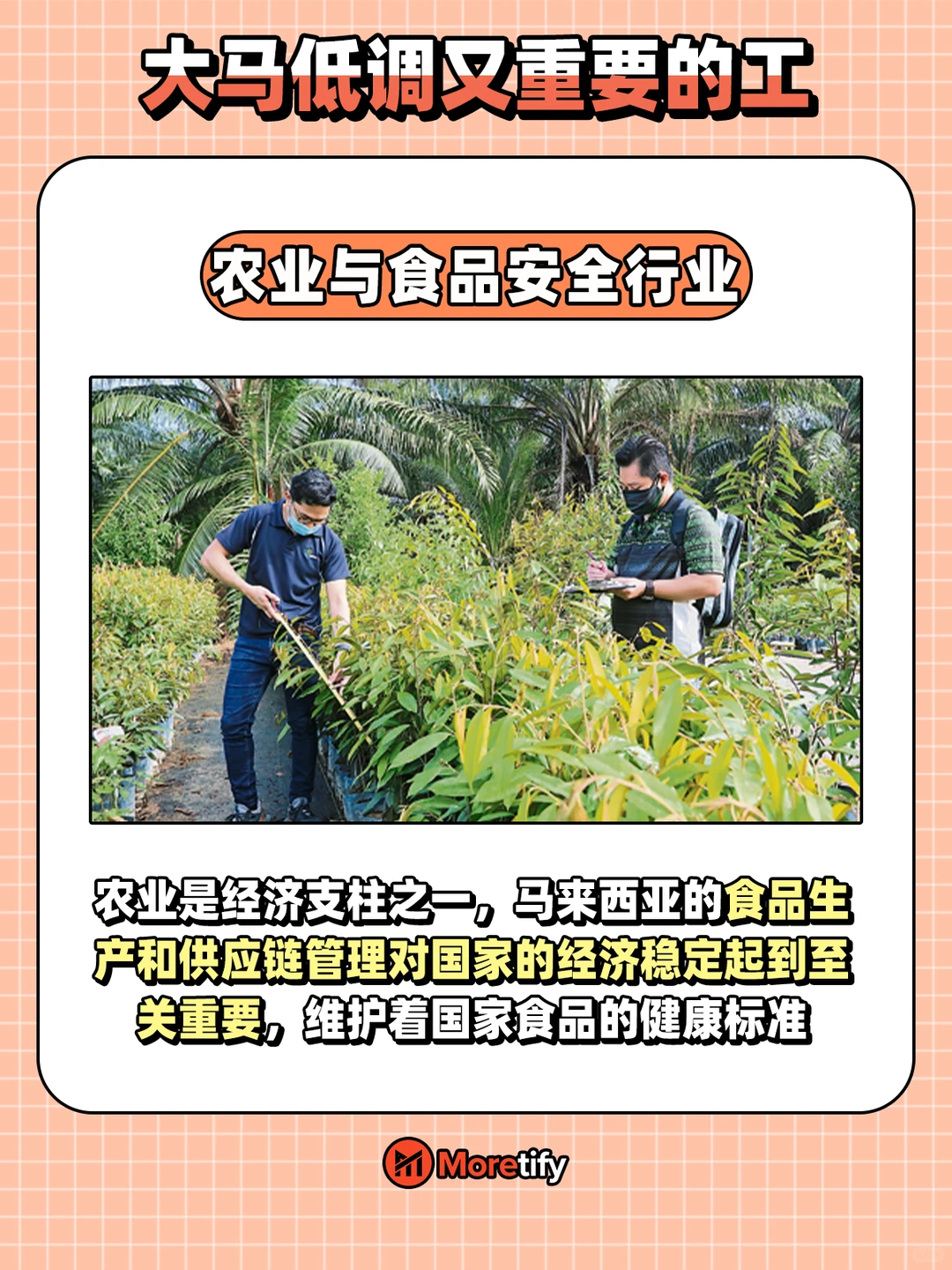 🇲🇾 很少人愿意做的工