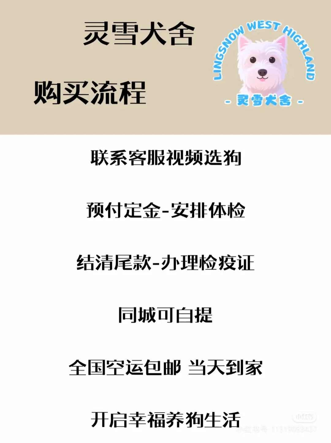 2025年西高地多少钱一只|西高地价格攻略❗