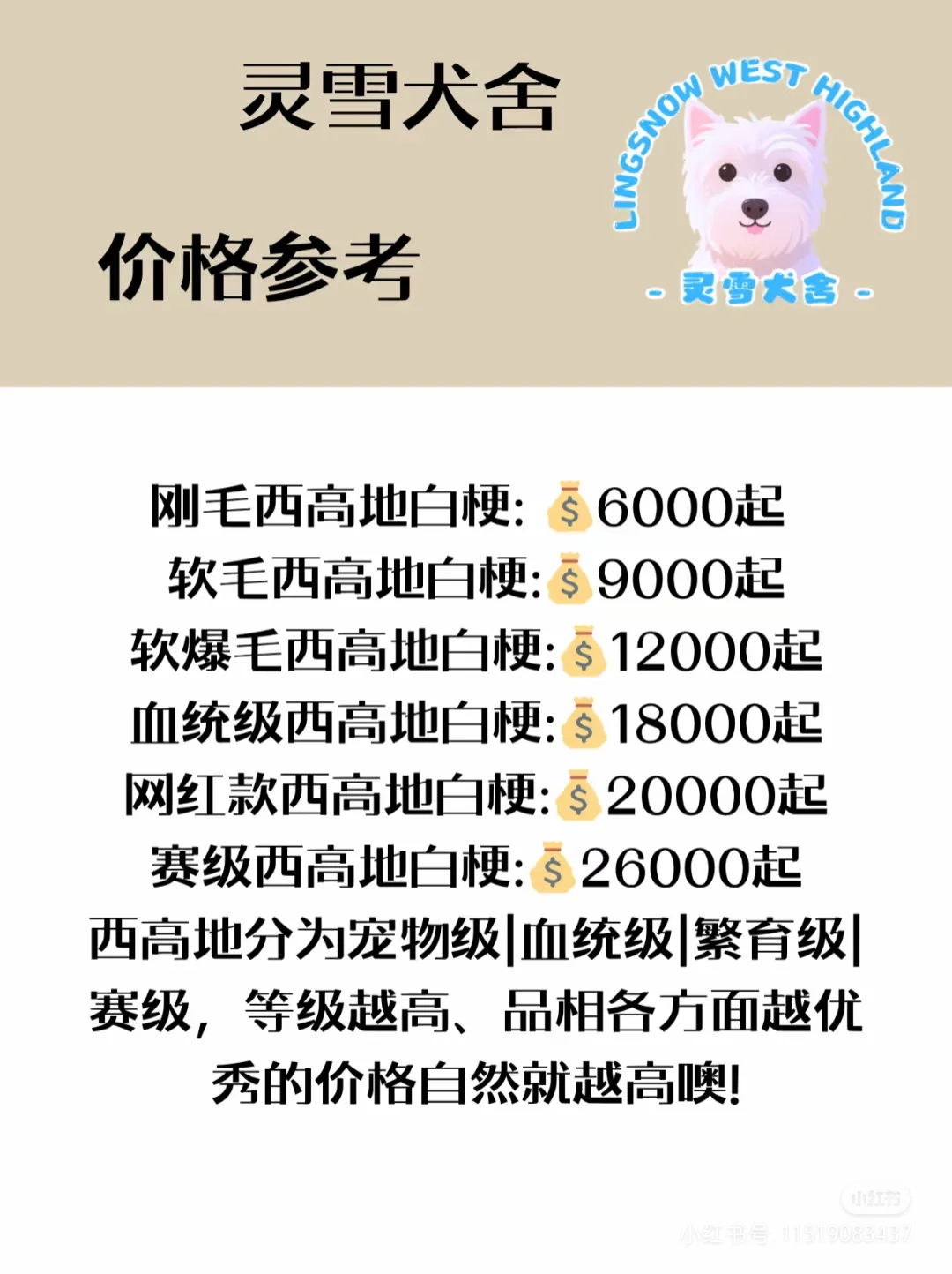 2025年西高地多少钱一只|西高地价格攻略❗