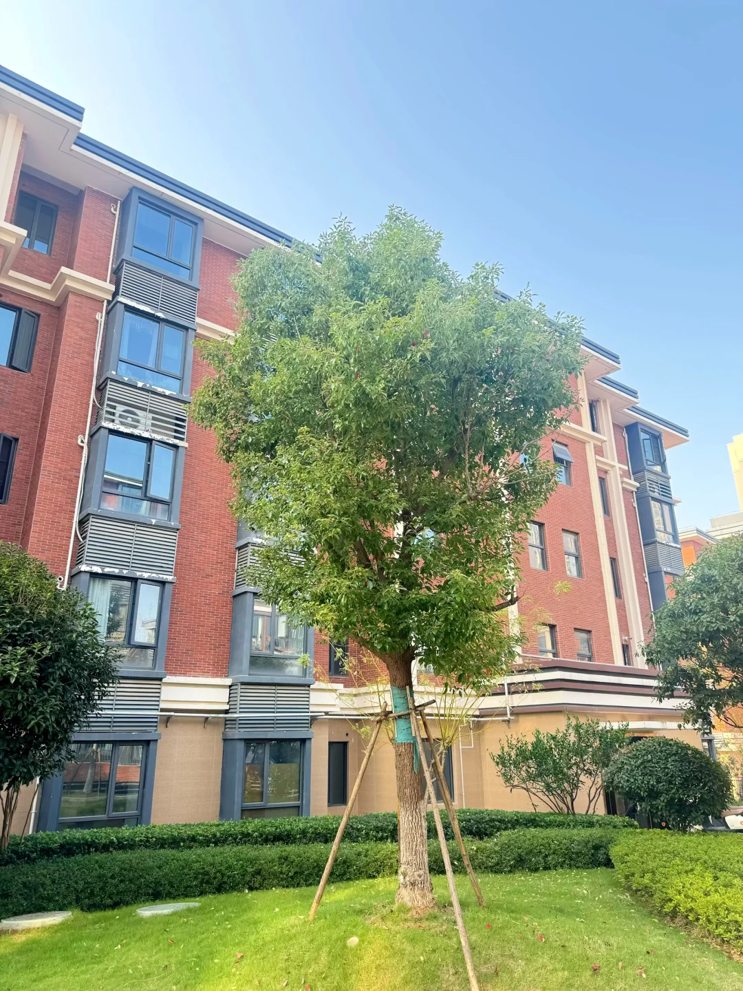 感谢武汉房价！60多万的精装五层电梯洋房