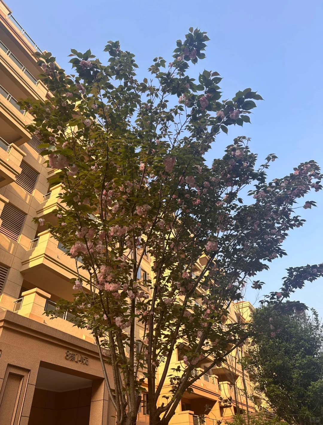 自己在重庆精心打造的小家｜全新未住