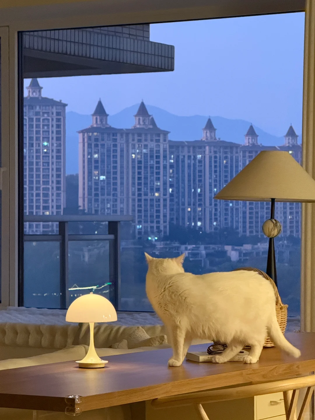 100w的房子，这扇窗值150w！！！🥹