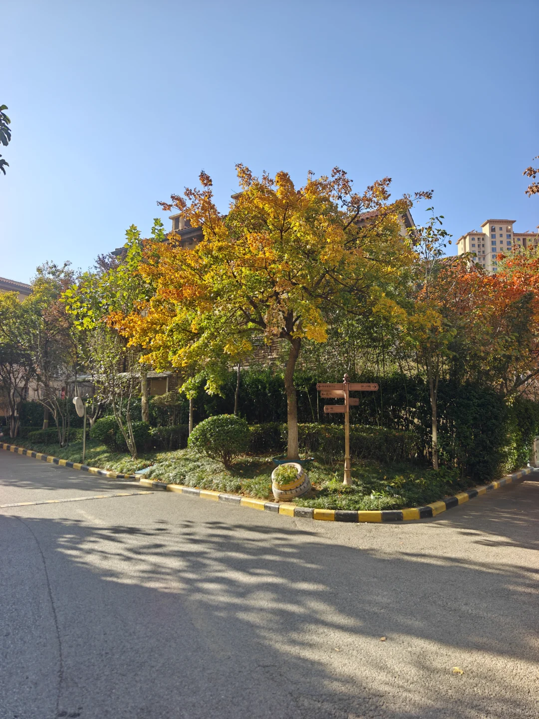 西海岸别墅｜149万买上下两层装修带北院