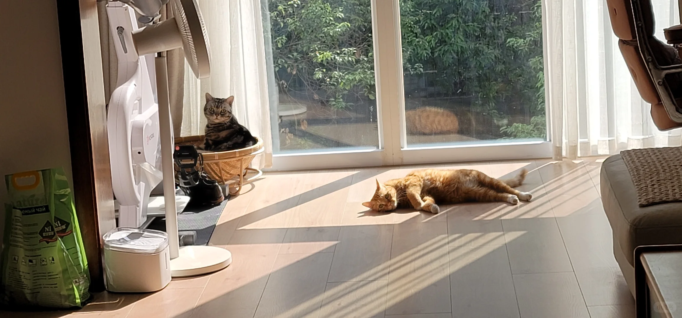 听说小红书可以卖房，我来试试