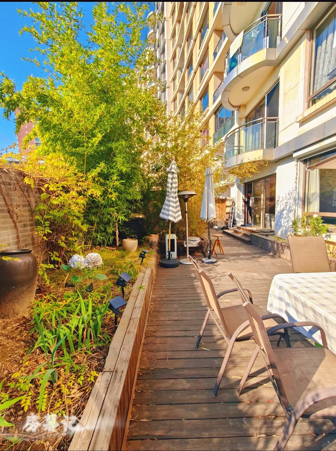 朝阳公园5层 带院子，全明 全天采光