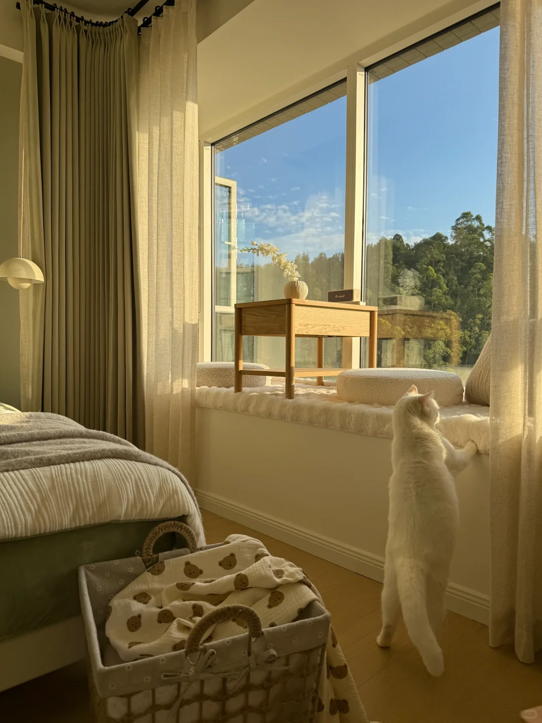 100w的房子，这扇窗值150w！！！🥹