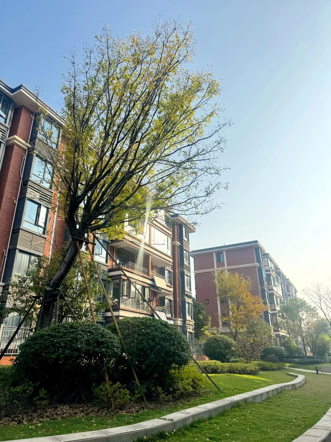 感谢武汉房价！60多万的精装五层电梯洋房