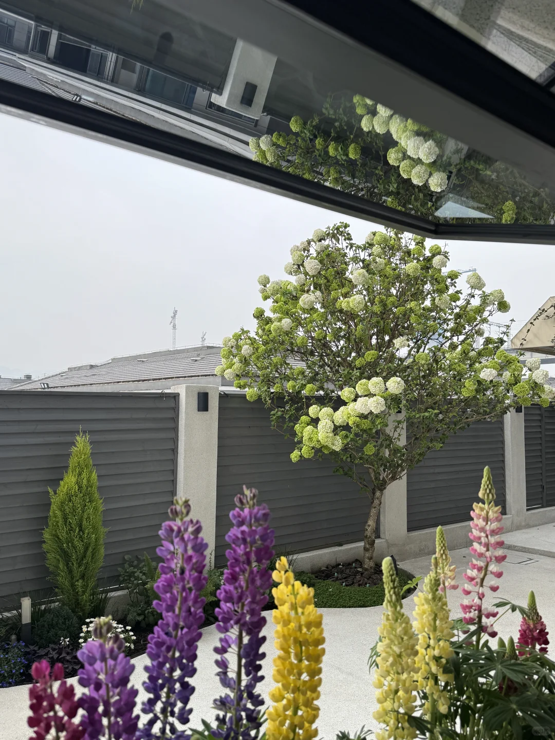 自住房出售，拥有超美落日的一楼平层