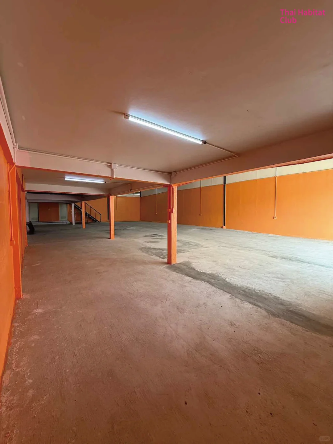 泰国人文地产库｜曼谷使馆区稀缺仓库出租