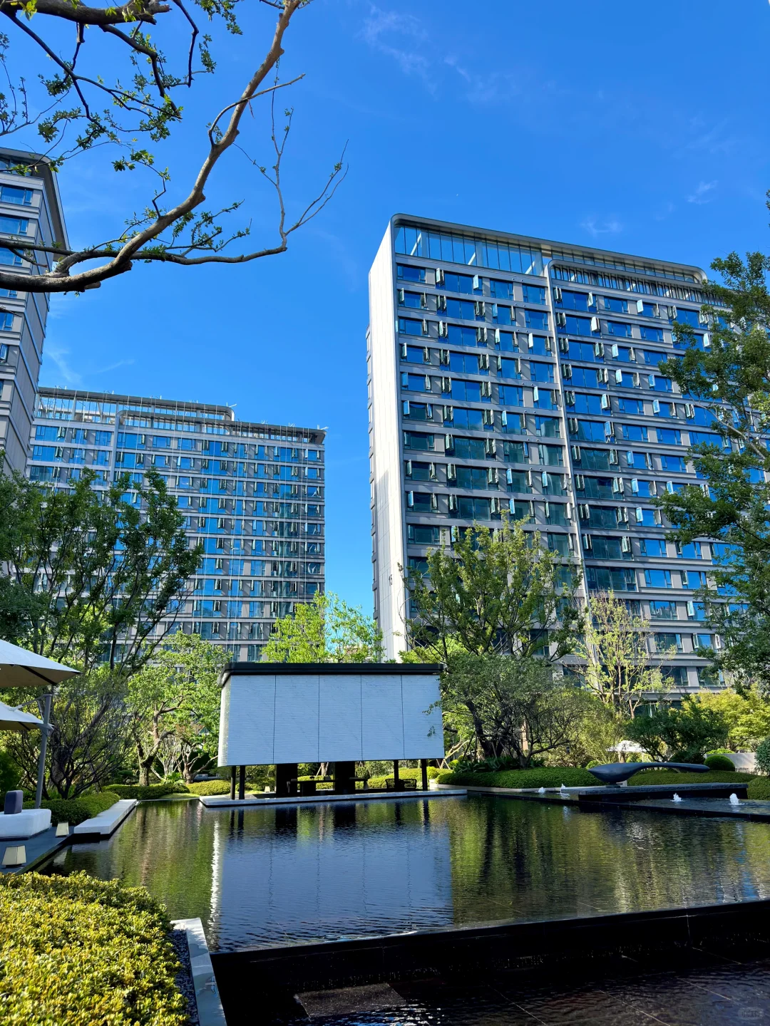 真没想到 市区中心的房子居然也有这么一天