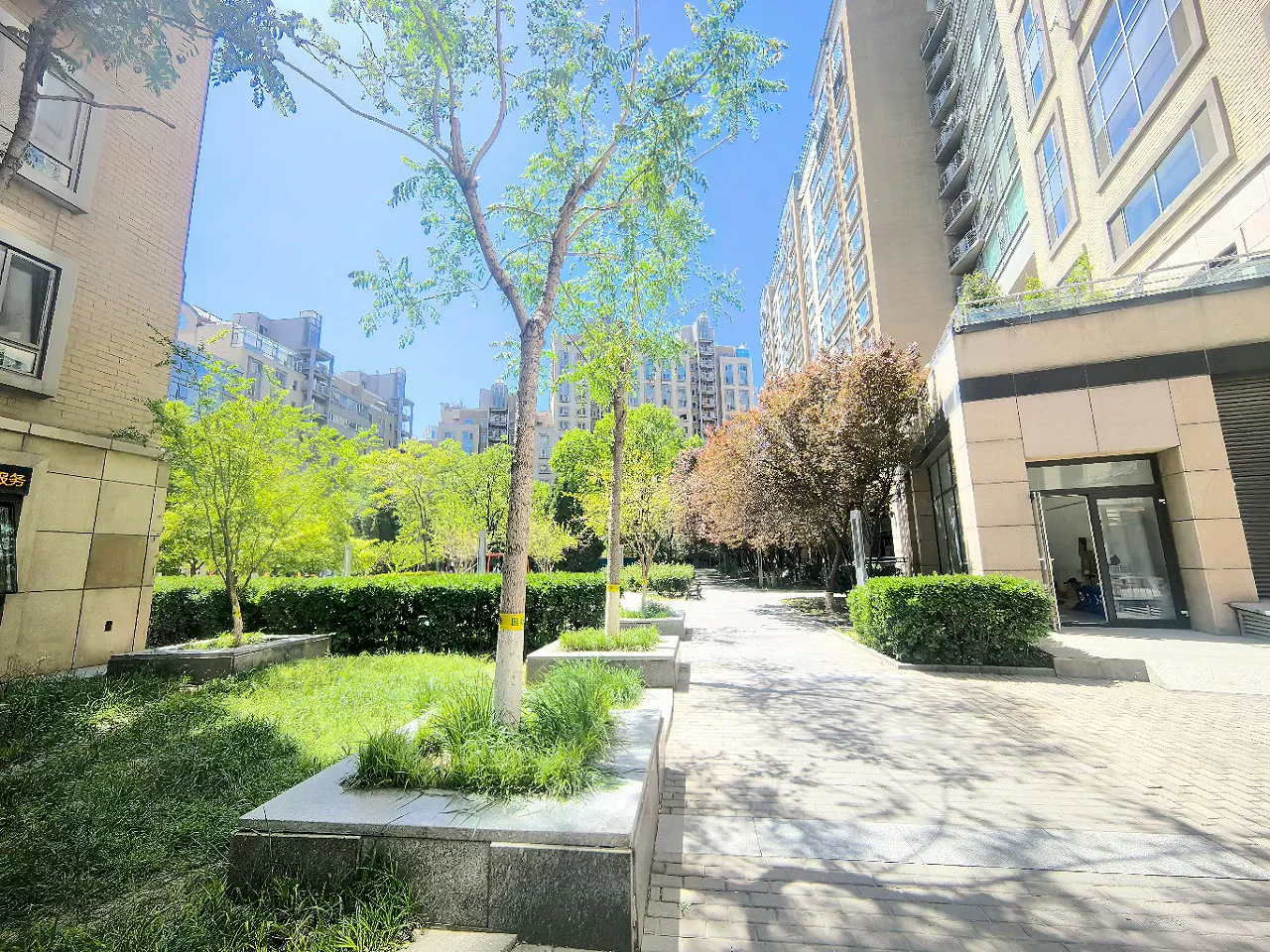 这个大三居，价格有惊喜～