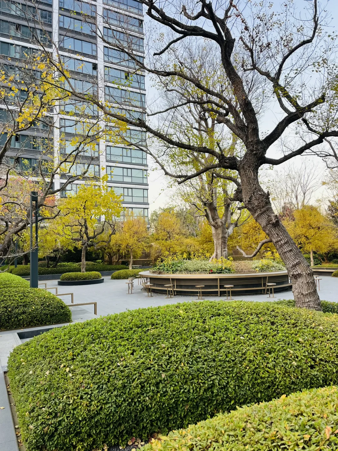 如皋公园畔法式园林宅 119-279㎡臻品盛放