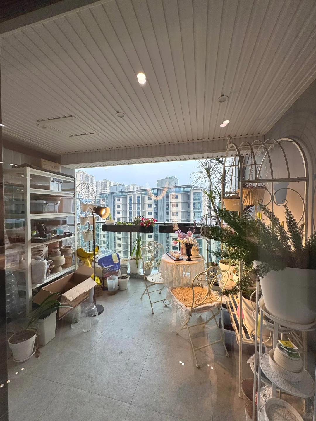 感谢浦东新区，去年878万没买，今年500w拿