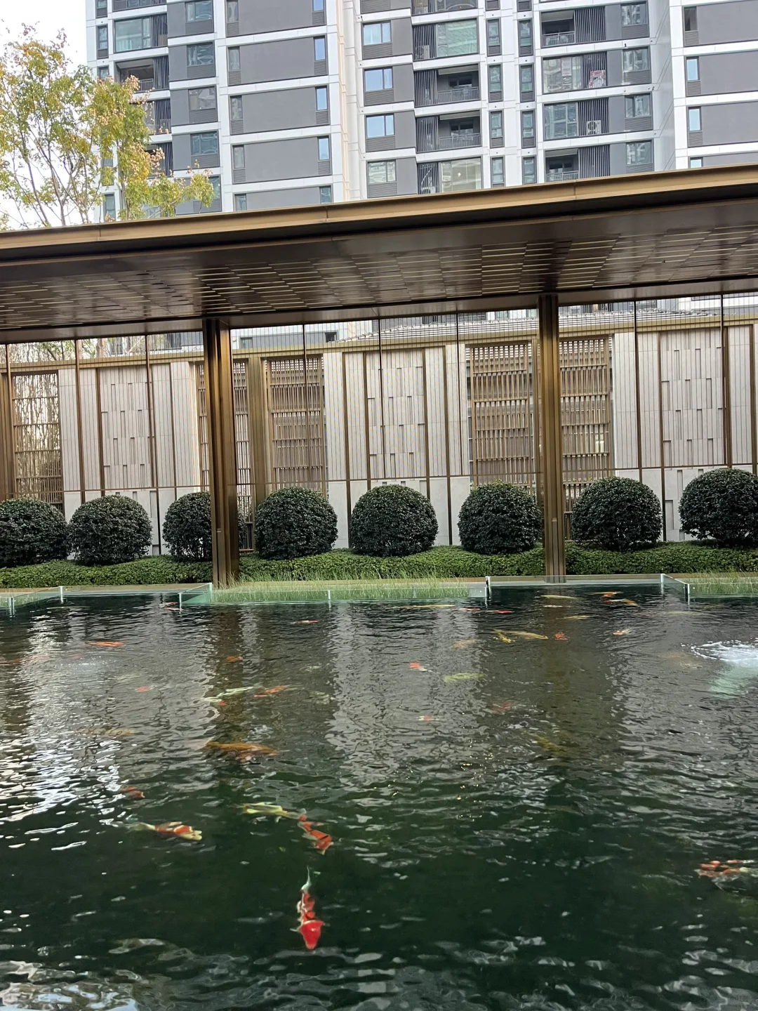 如皋公园畔法式园林宅 119-279㎡臻品盛放