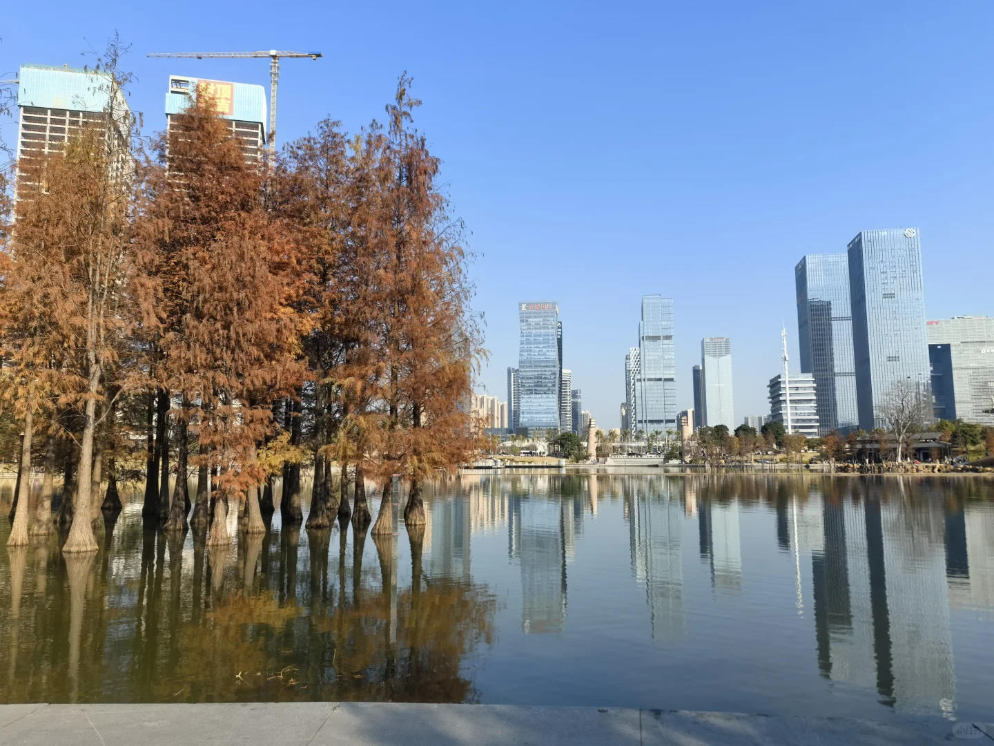 佛山房地产的现状及未来走势如何（一）